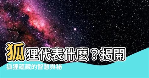 狐狸代表什麼